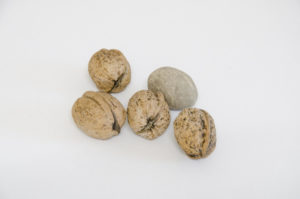 4 nuts 1 stone Art