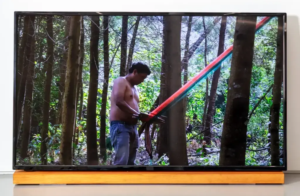 Forbes - 7 Artists Exploring Humanity’s Interaction With Nature At London Art Fair