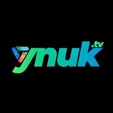 New Gallery Opens Exmouth Market