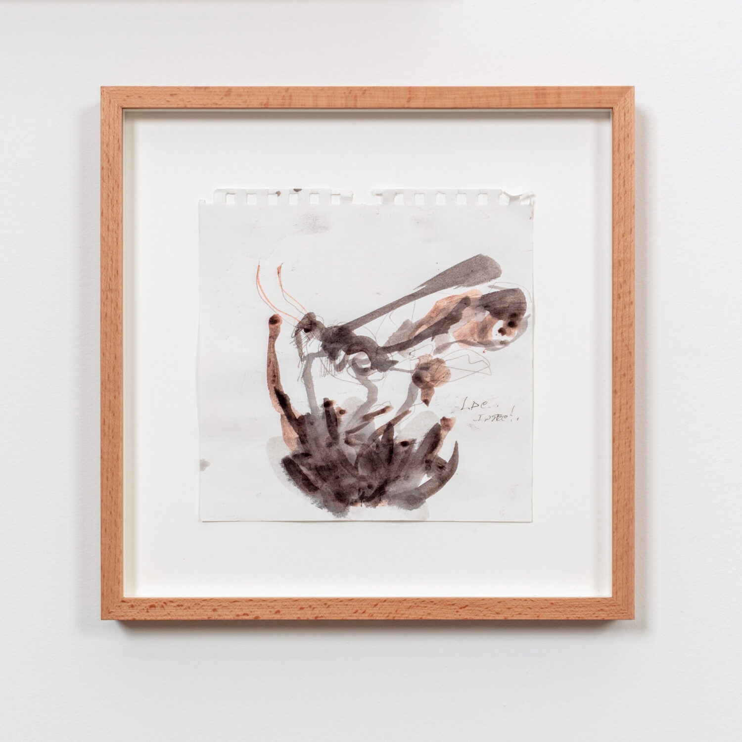 Observation on Lac insect (i)