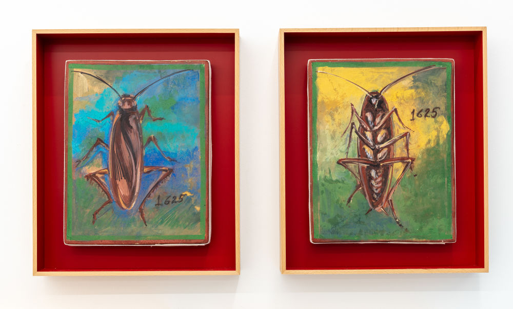 The ‘American cockroach’ was introduced in the US from Africa as early as 1625 (diptych)