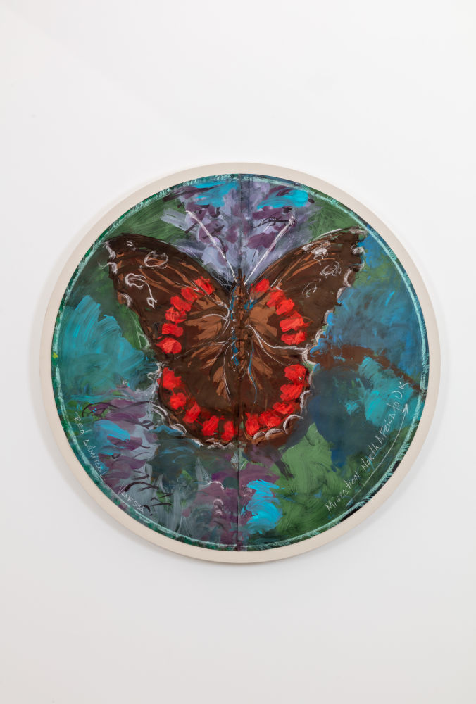 Red Admiral Vanessa - Migration North Africa to UK (rondo)