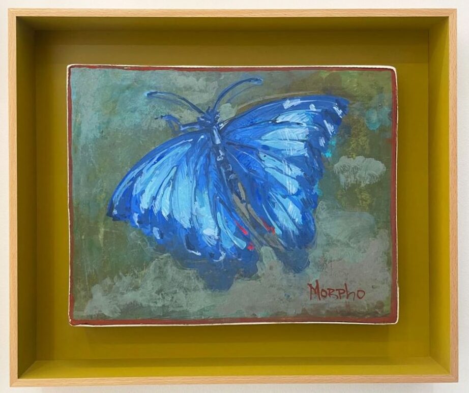 Morpho (inside)