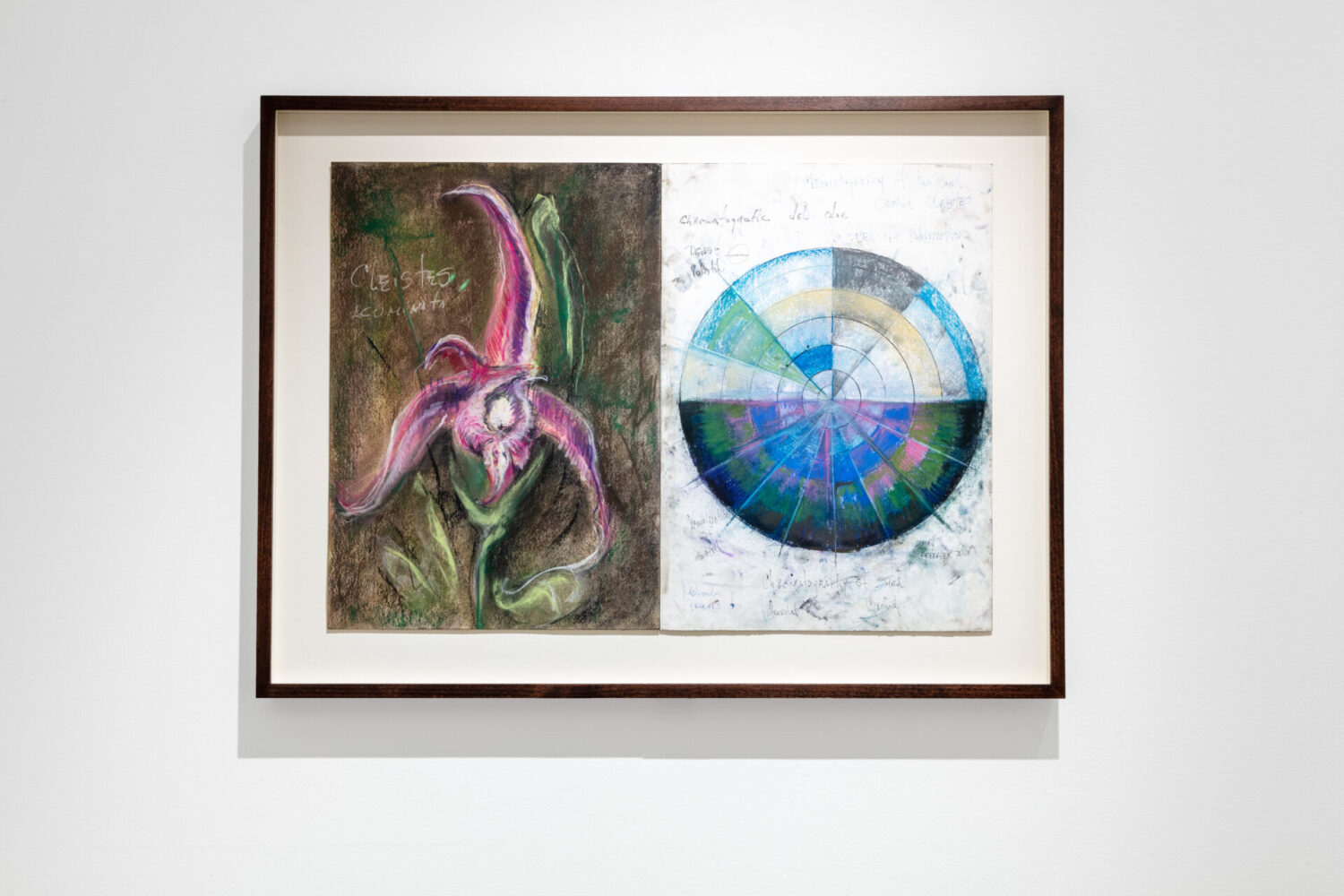 Diptych-Chromatography smell of orchid Cleistes