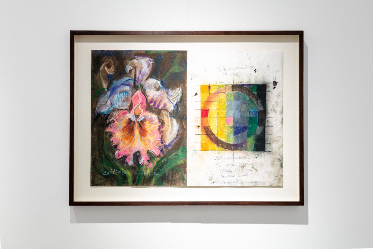 Diptych-Chromatography smell of orchid Cattleya