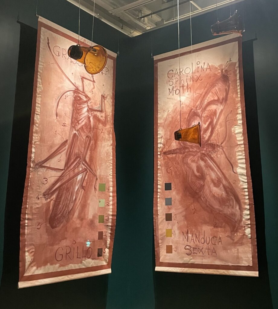 Oswaldo Maciá at the Whitney Biennial 2026