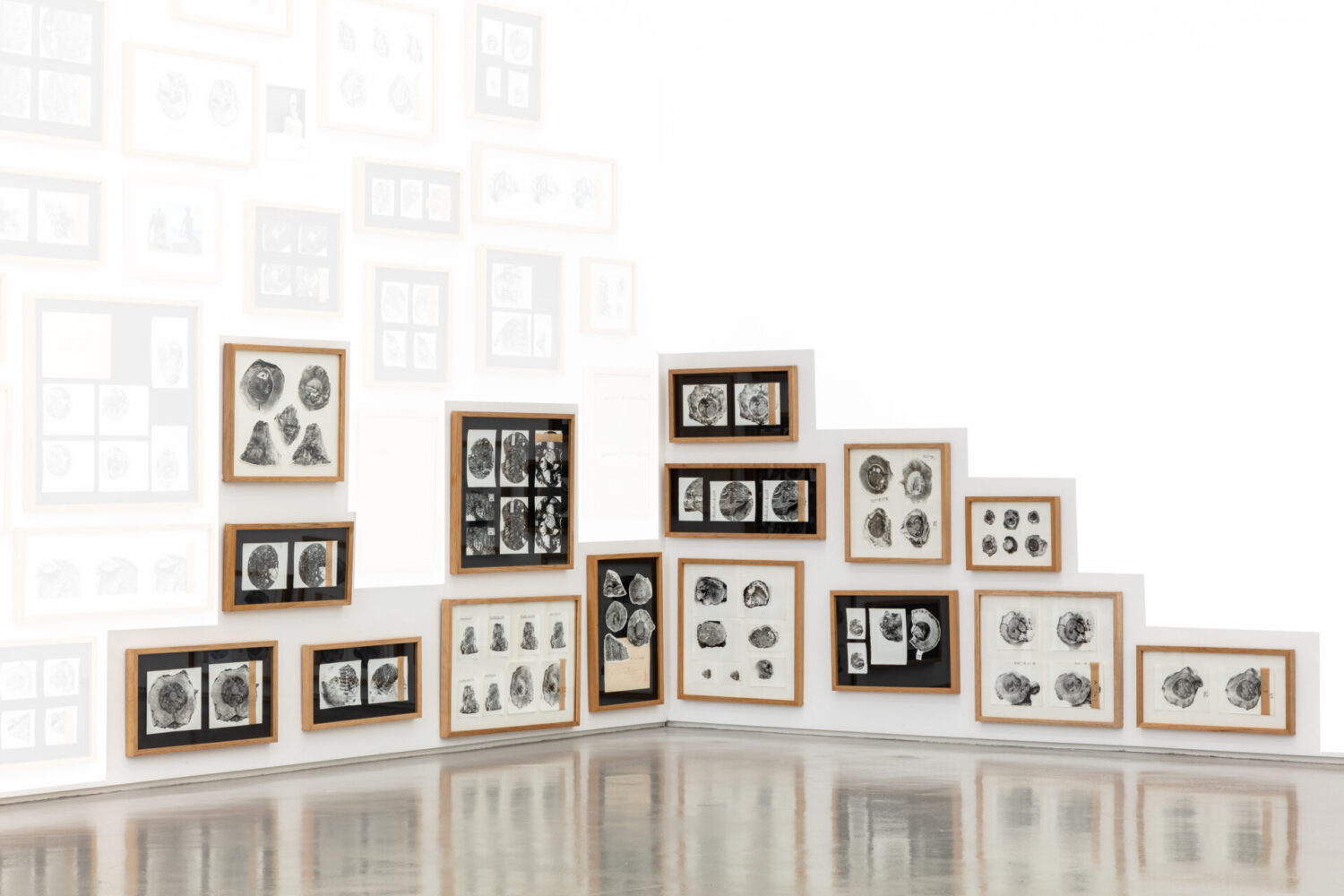 Found and Given 2015 / Fossils 2026 vi