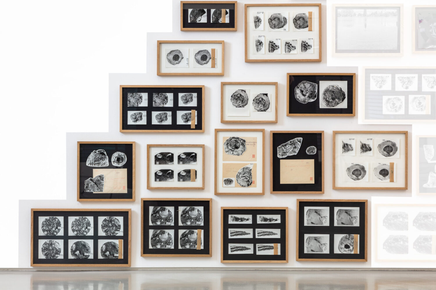 Found and Given 2015/ Fossils 2026 iv