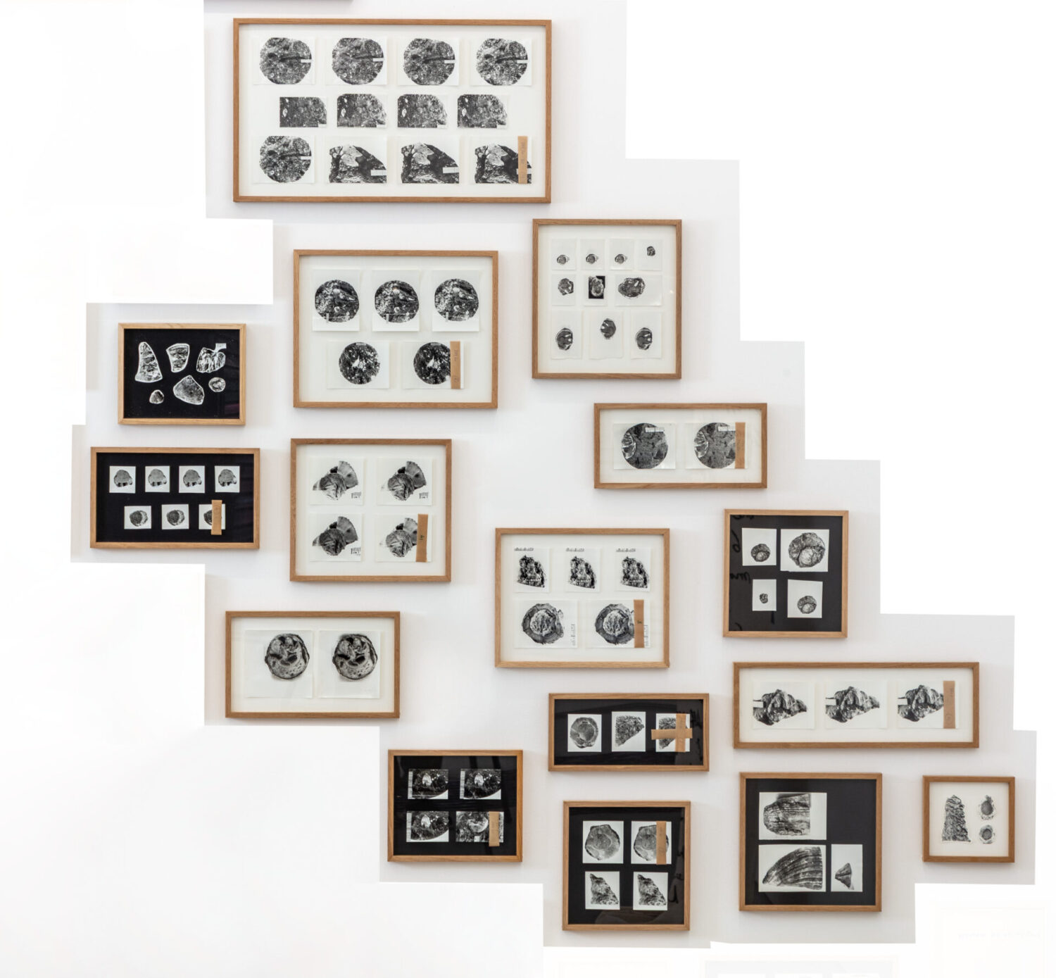 Found and Given 2015 / Fossils 2026 iii