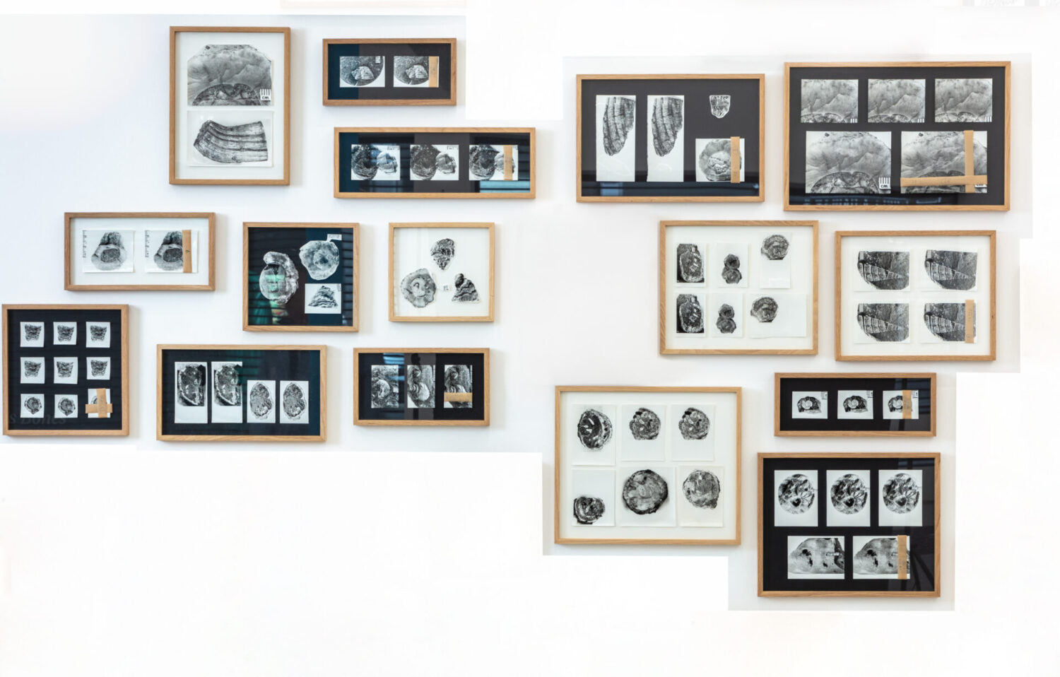 Found and Given 2015 / Fossils 2026 ii