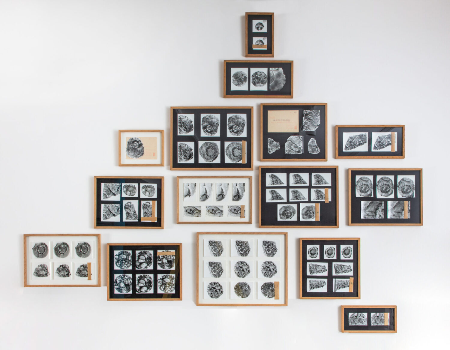 Found and Given 2015 / Fossils 2026 i