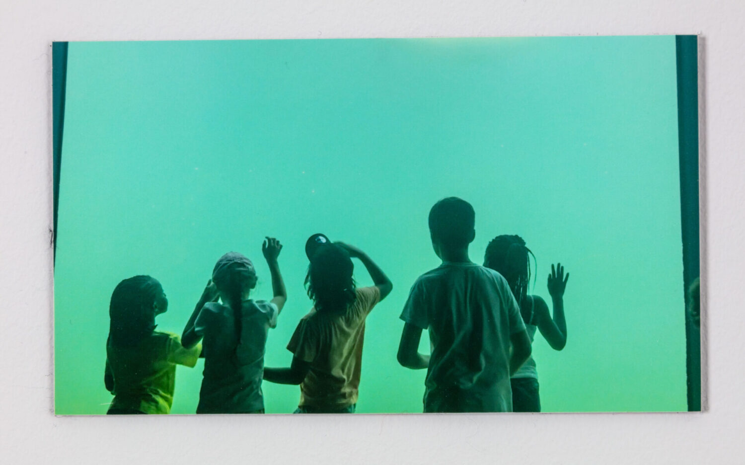 Untitled (Sea Aquarium)