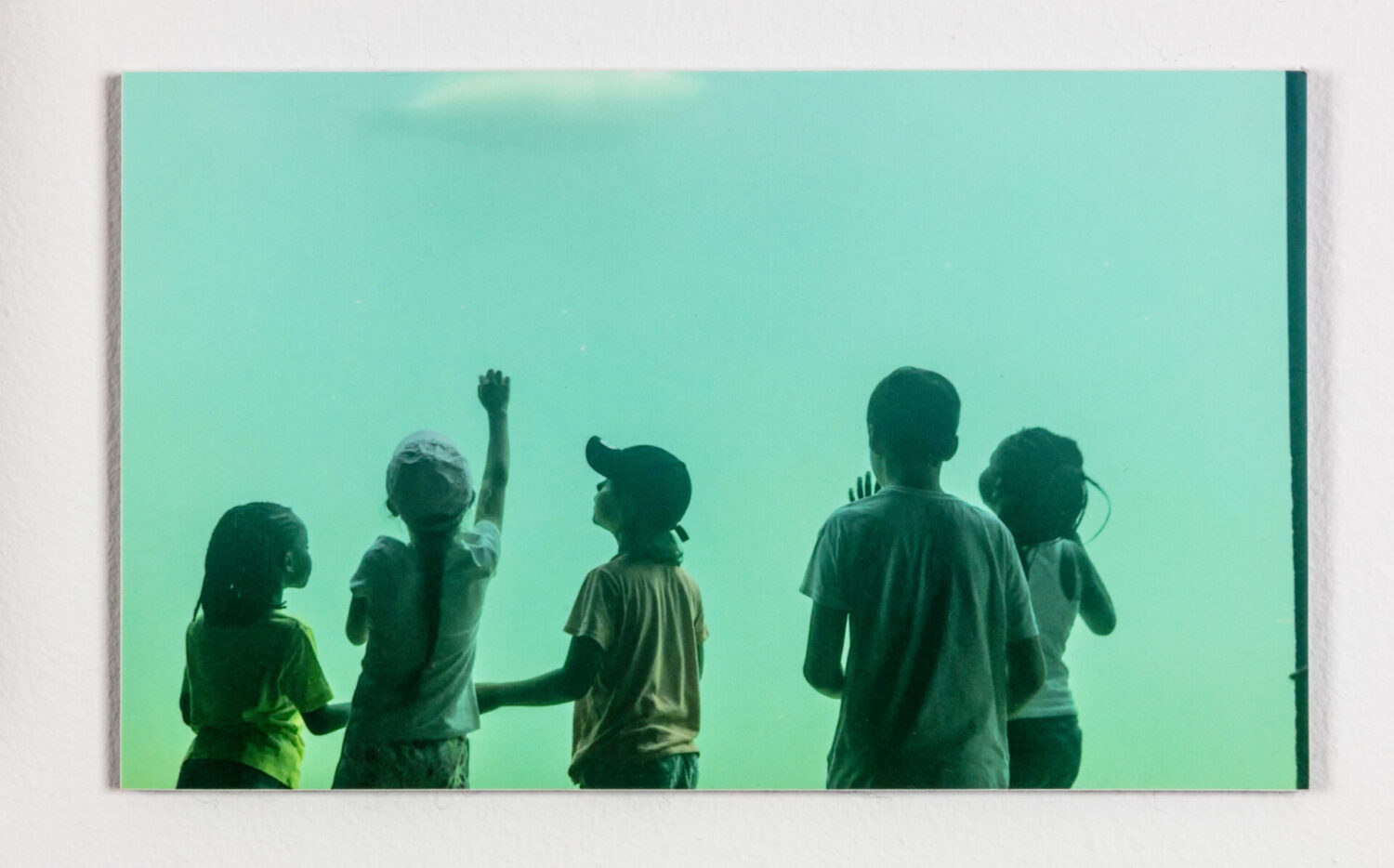 Untitled (Sea Aquarium)