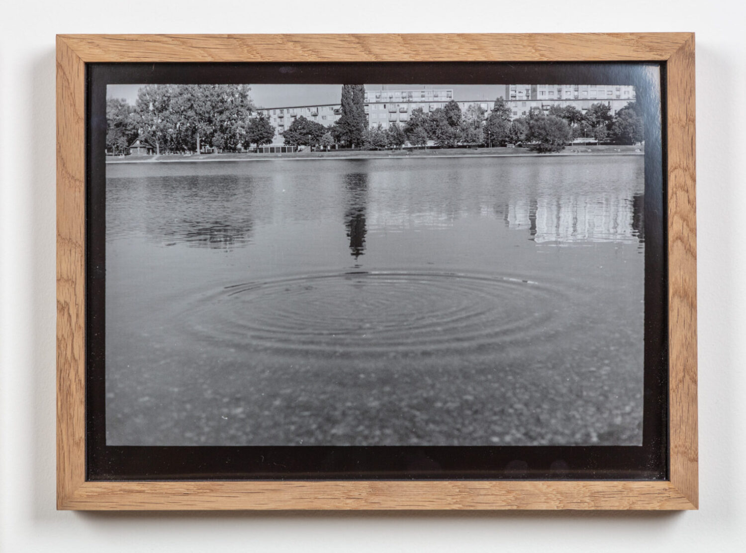 Untitled (From Antigone's eyes series 2009)