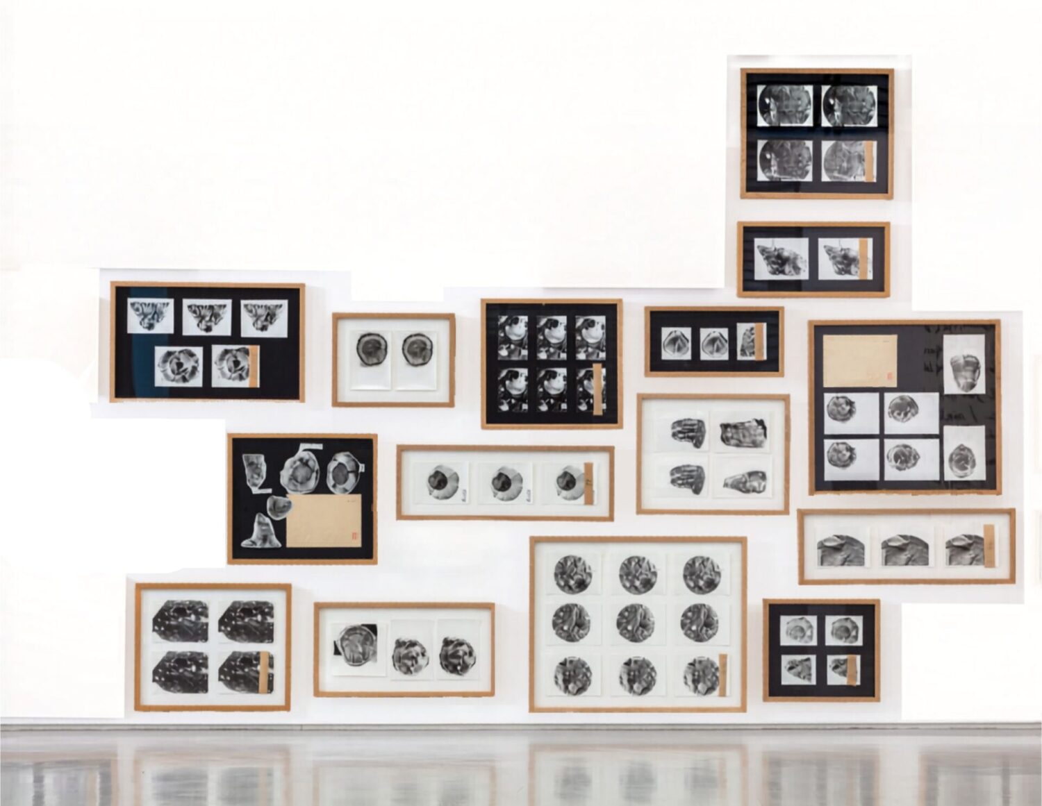 Found and Given 2015/Fossils 2026 v