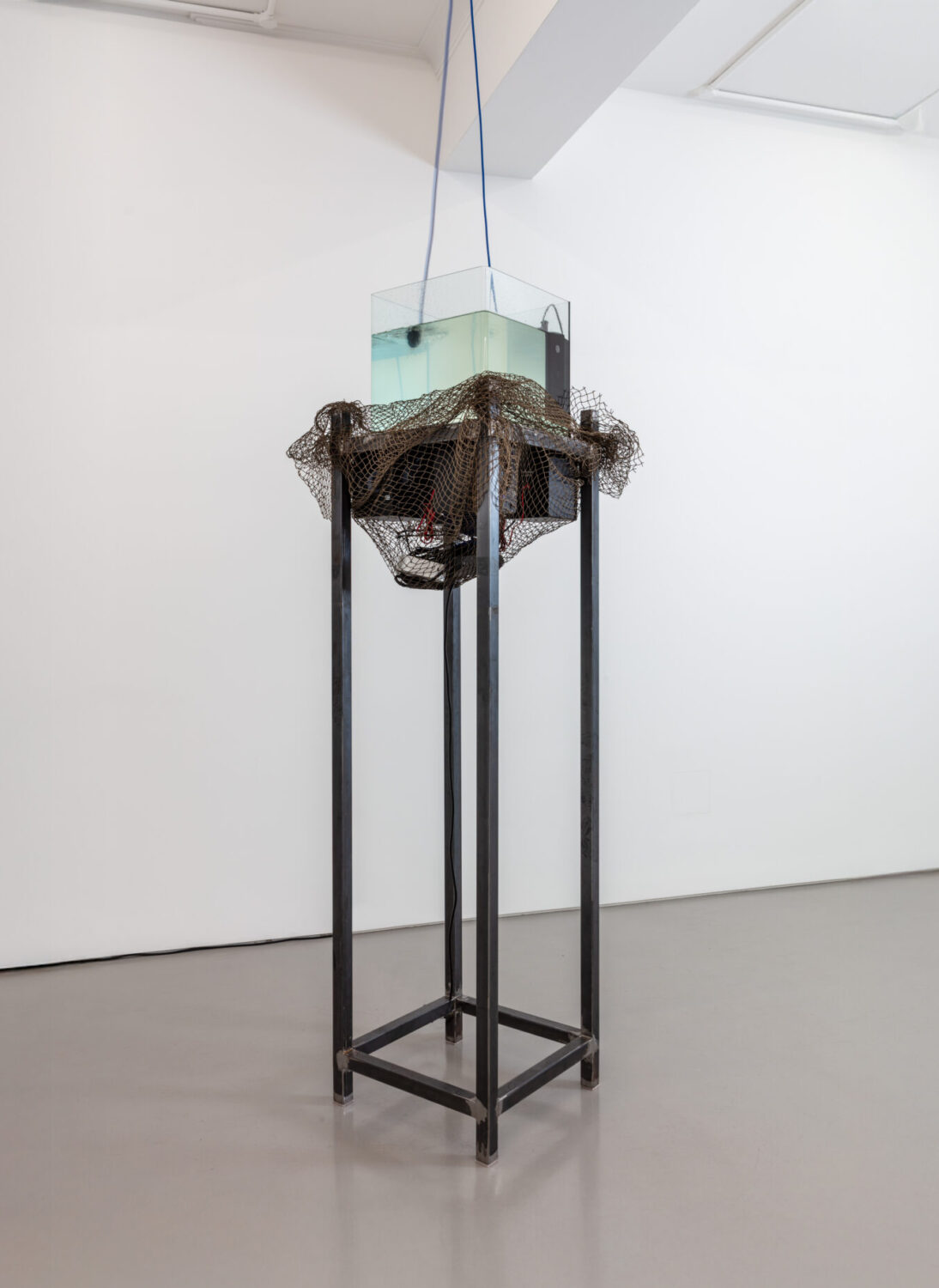 Formants of Water 2026