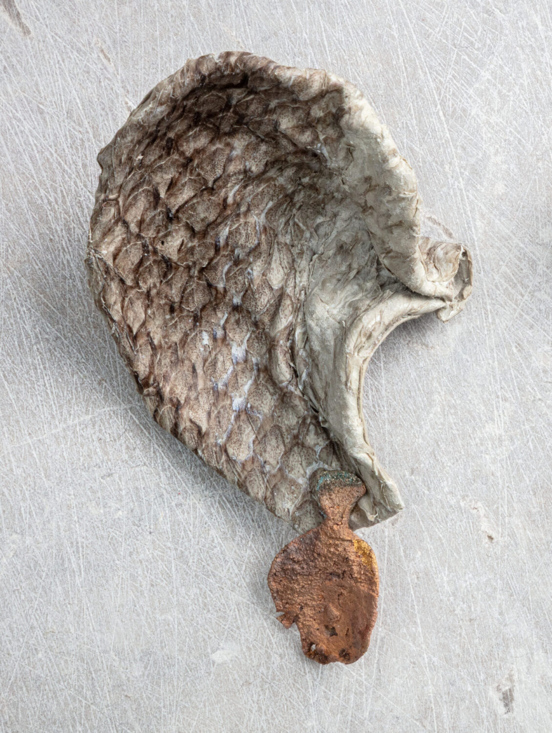 Fish with Flounder Earring II