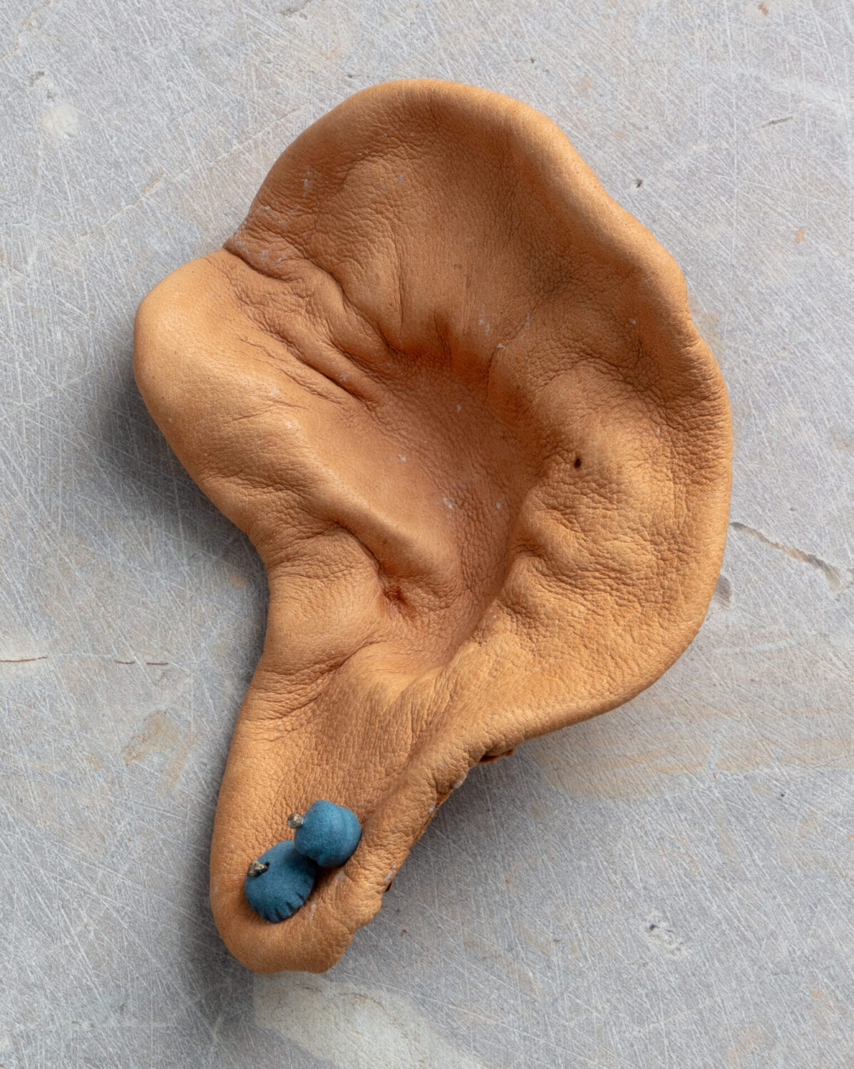 Dried and Fried Ear I