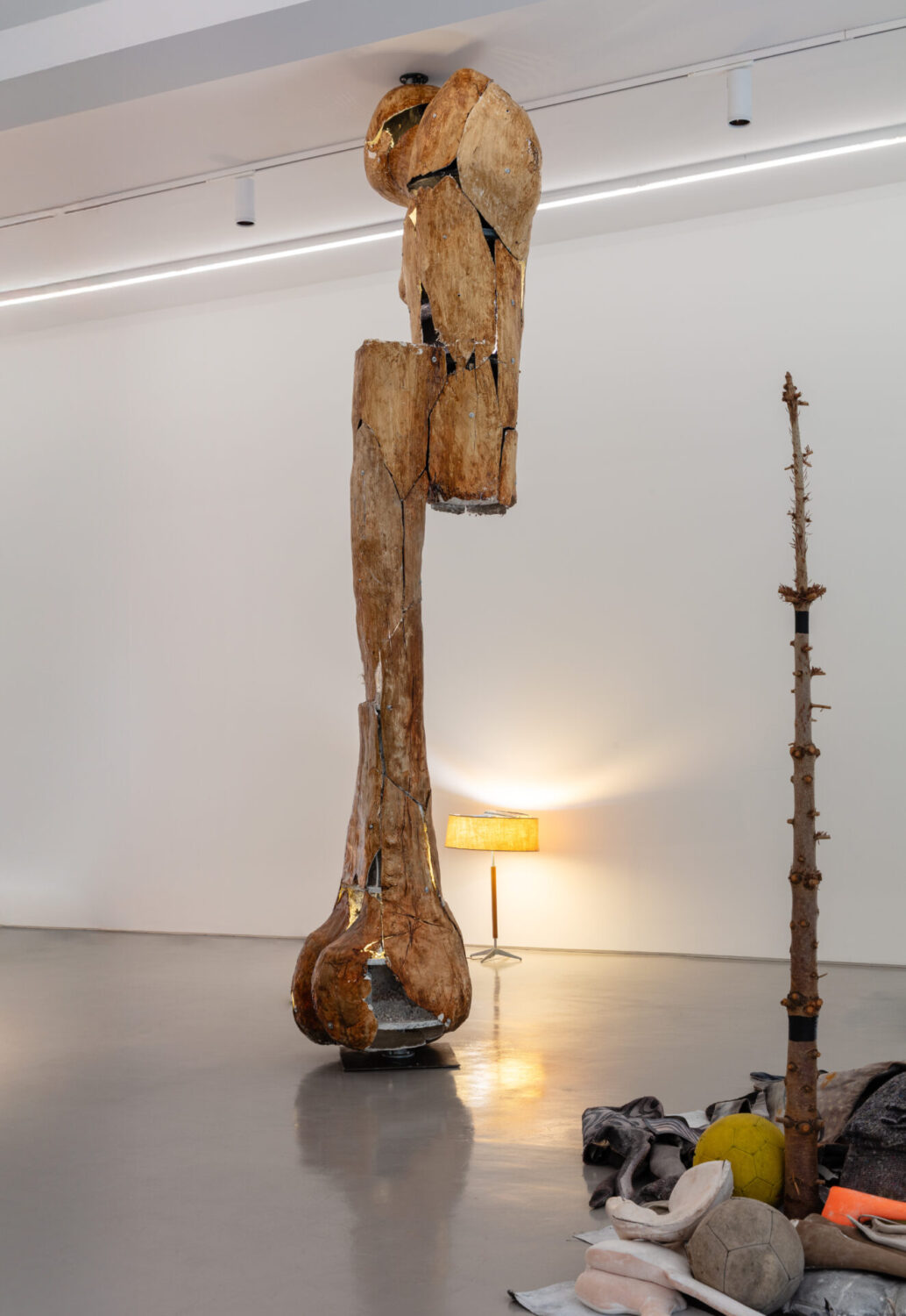 Human Femur (enlarged)