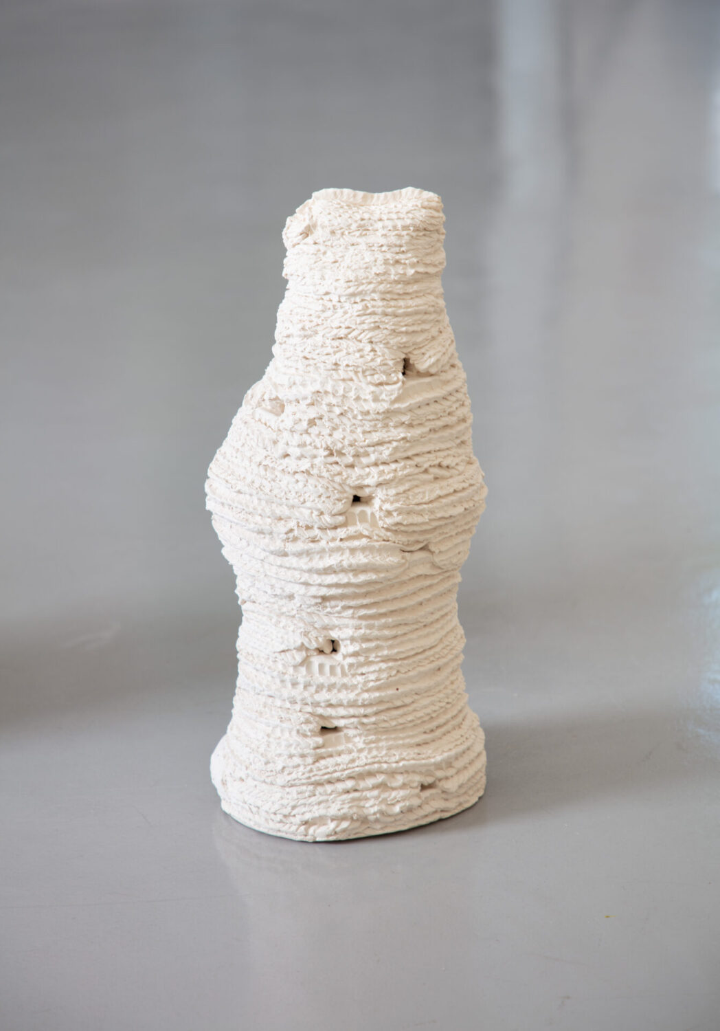 Untitled (from the series Cupinzeiros) xii