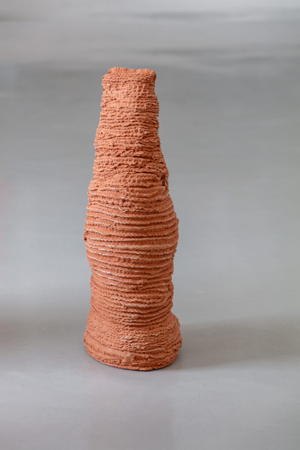 Untitled (from the series Cupinzeiros) ix