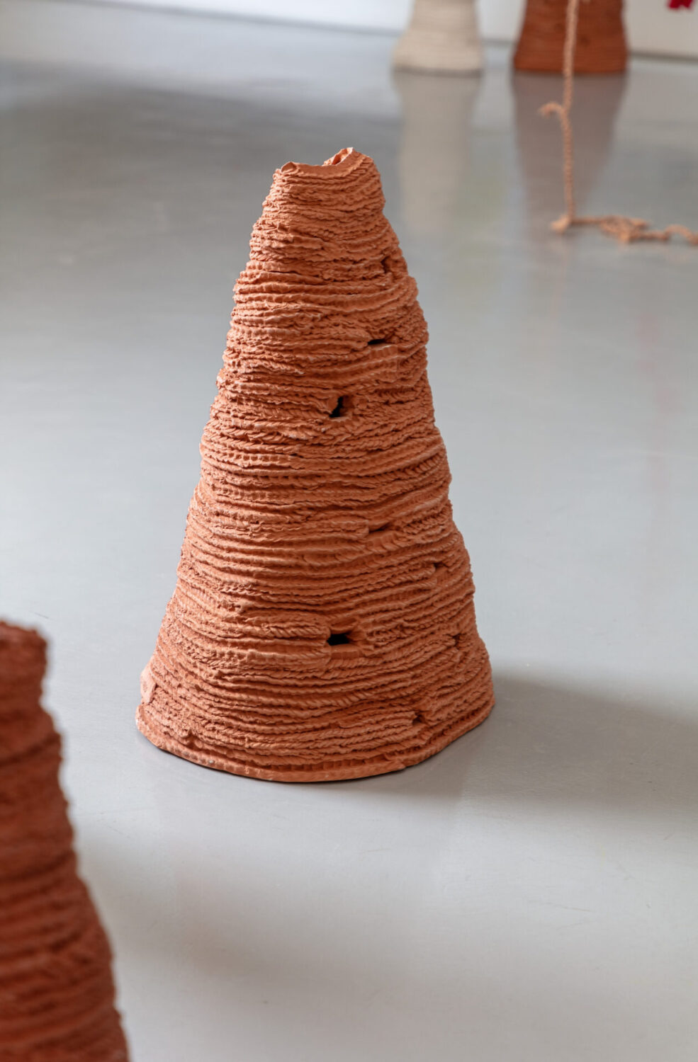 Untitled (from the series Cupinzeiros) iii