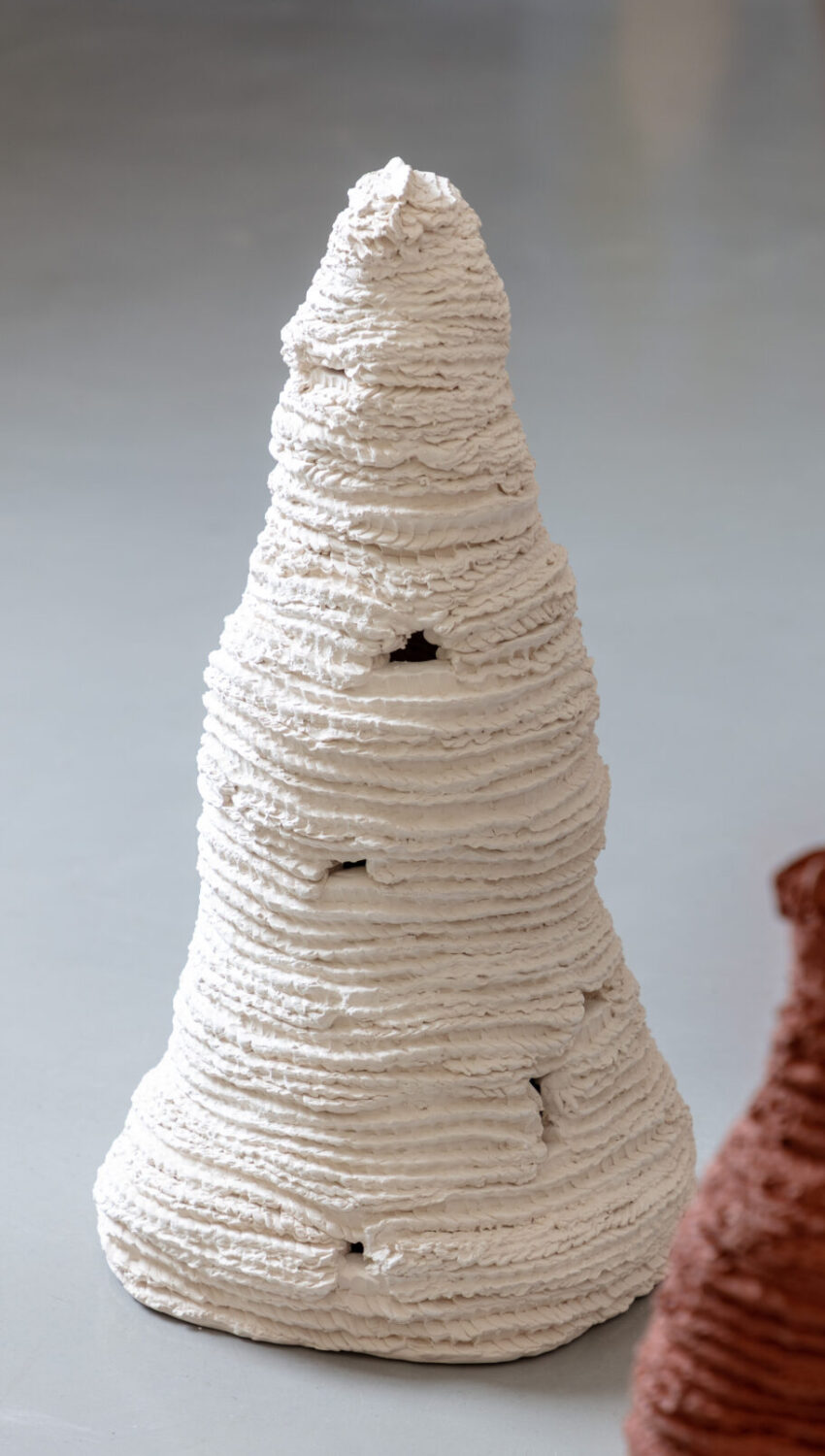 Untitled (from the series Cupinzeiros) viii